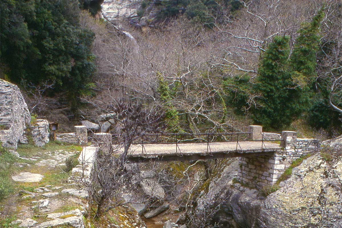 Pelion-Activities-Walking-path